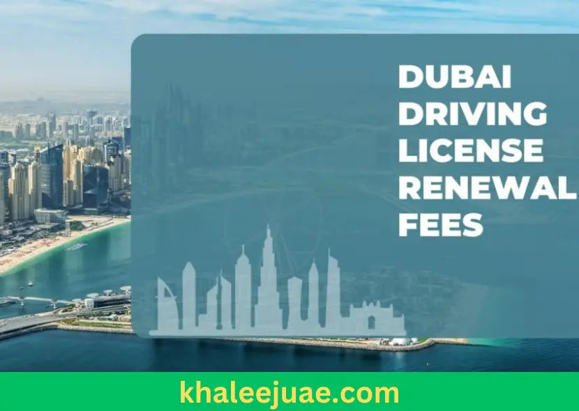 Dubai Driving License Renewal Fees