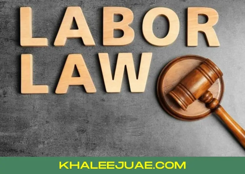 UAE New Labour Law 2024 PDF