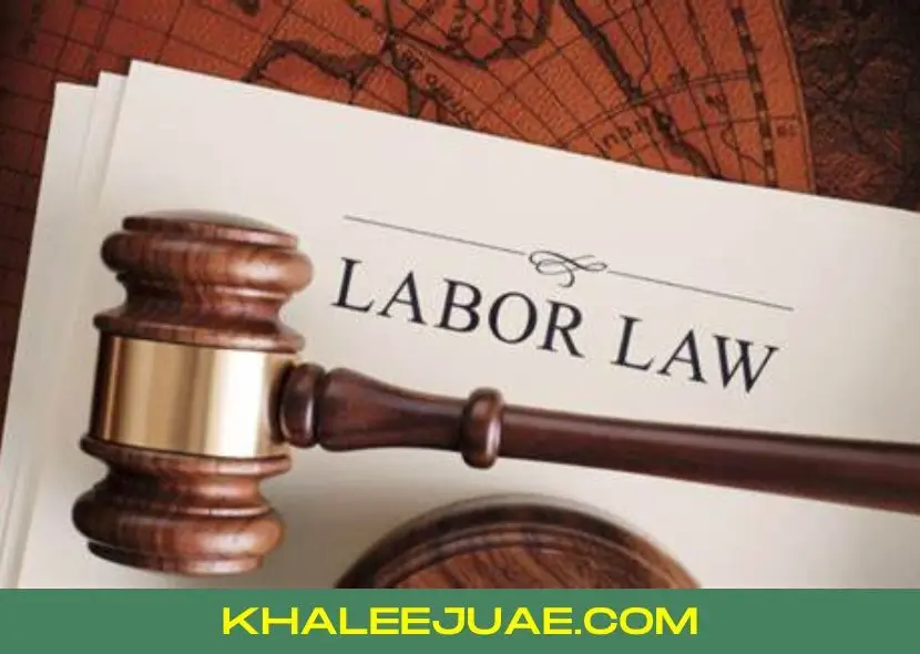 Overview of UAE Labour Law 2024