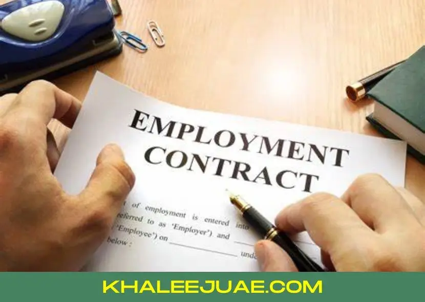 Employment Contracts