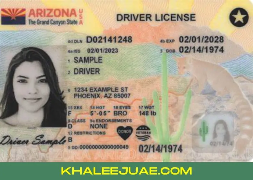 Obtaining the Driving License