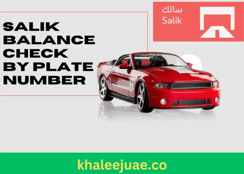 Salik Balance Check by Plate Number