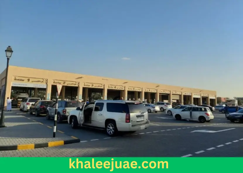 Overview of Tasjeel Sharjah Auto Village