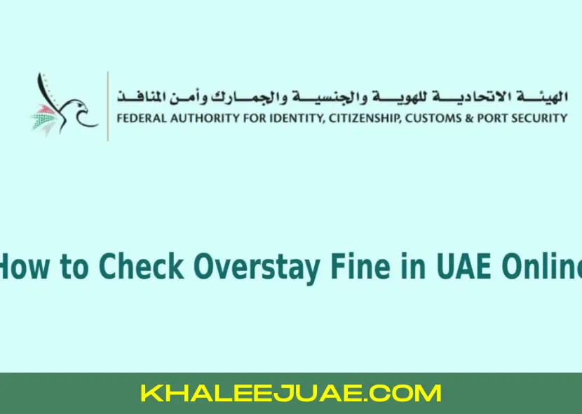 Dubai Traffic Fines Check