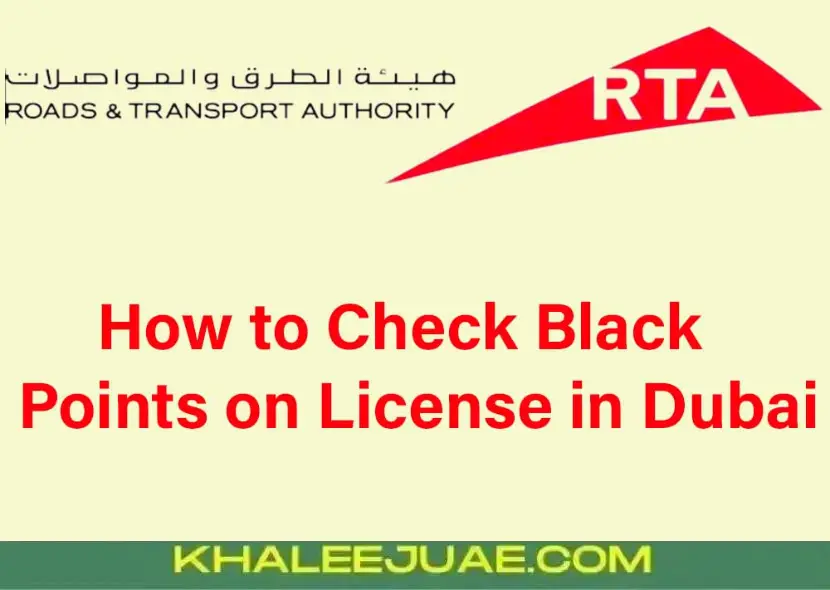 How to Check Black Points on License in Dubai Online: A Clear Guide