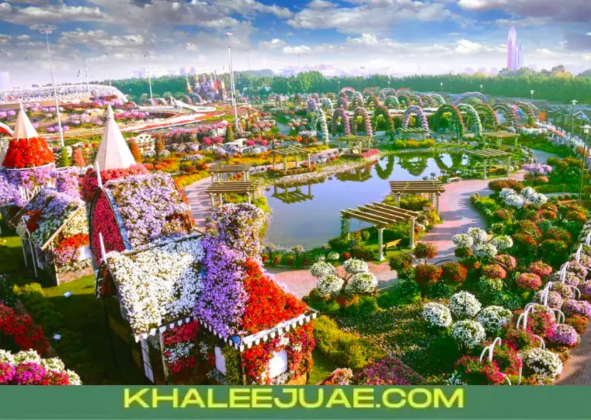 How to Get to Dubai Miracle Garden: A Comprehensive Guide