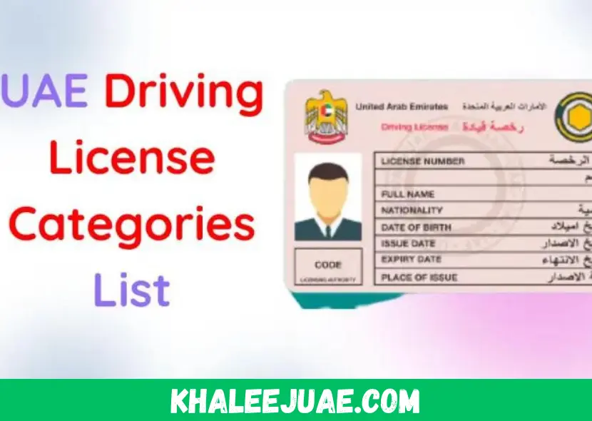 UAE Best Driving License Categories List 2024