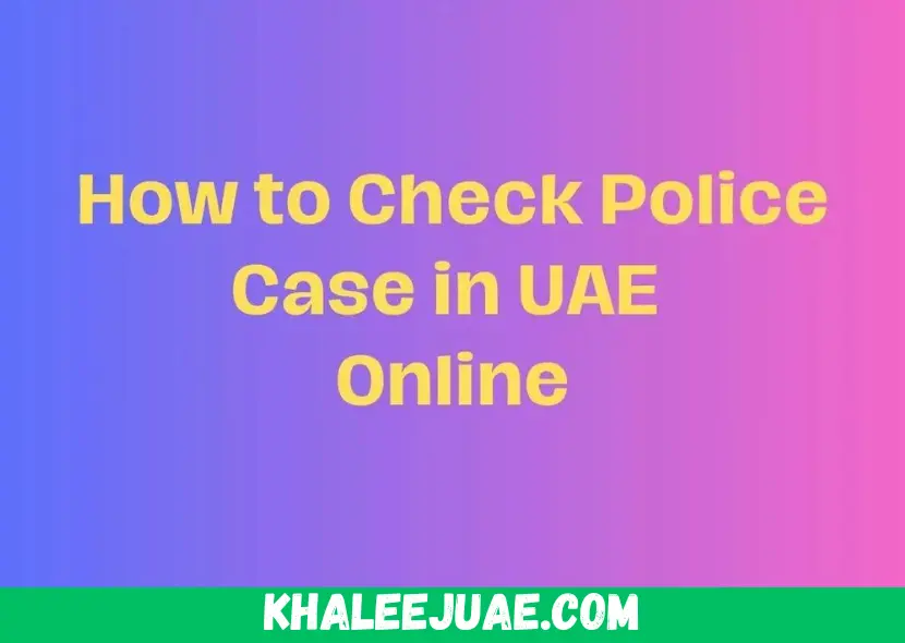 How to Check Best Police Case in UAE Online