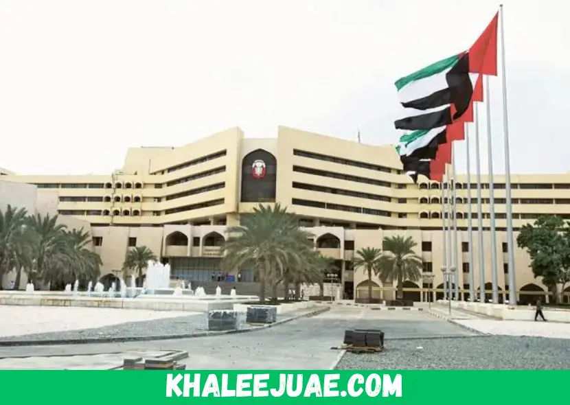 What Are External Fines in Abu Dhabi? Online Check and Pay