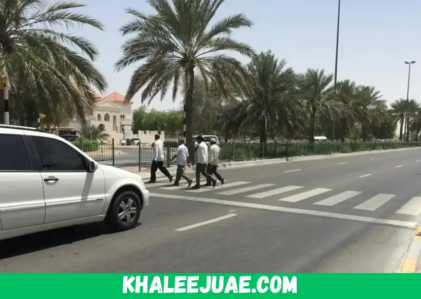 How to Check Jaywalking Fine by Emirates ID in Dubai (Road Crossing)